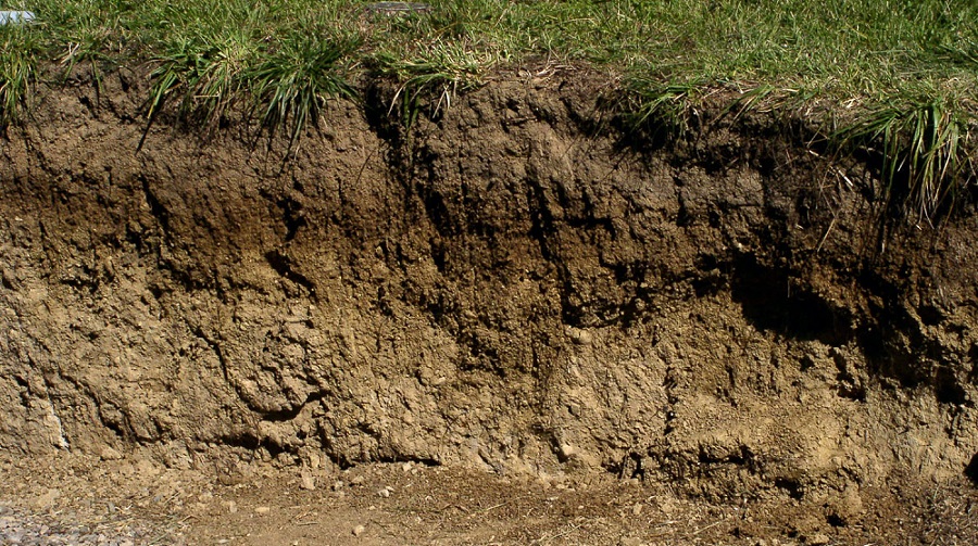 Обнажения почв в топонимии-002